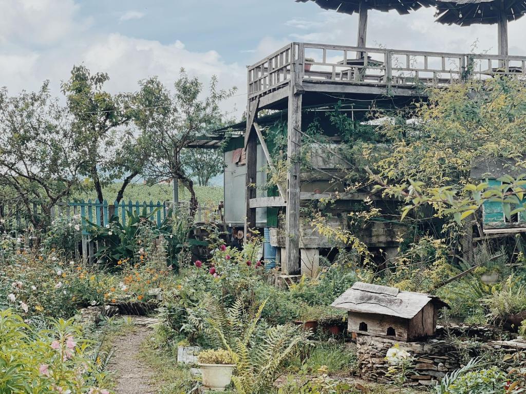 Aed väljaspool majutusasutust Tiệm Cà Phê Mer Homestay & Coffee Mộc Châu