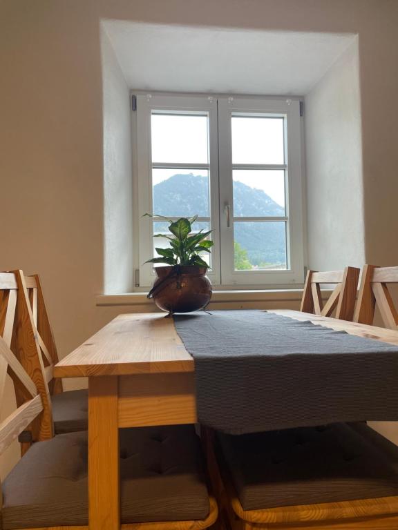 羅伊特的住宿－Ferienwohnung Kaffeeduft，桌子上摆着盆栽植物