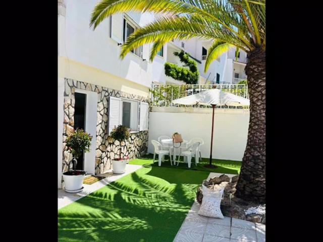 Un patio verde con una palmera y una casa. en Casinha da Palmeira, en Nazaré