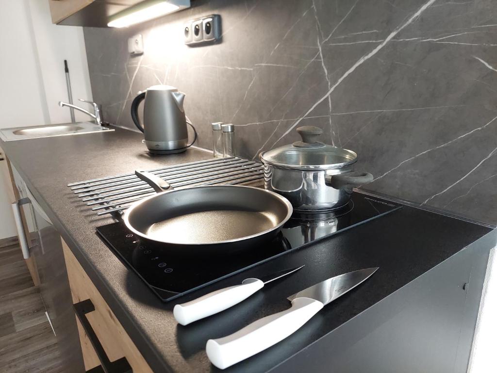 Kuchyň nebo kuchyňský kout v ubytování Apartmány Paseky - Jablonec nad Nisou