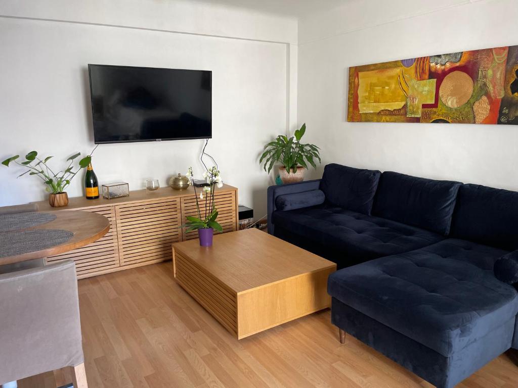 uma sala de estar com um sofá e uma televisão em Océan front apartment em Cannes