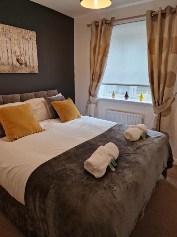 Chester Green Derby Luke Stays, Derby Precios actualizados 2023