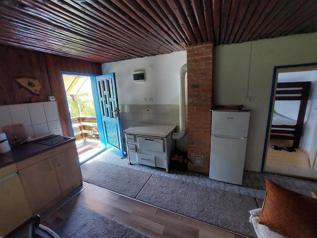 Kuchyň nebo kuchyňský kout v ubytování Seosko domaćinstvo Alababa