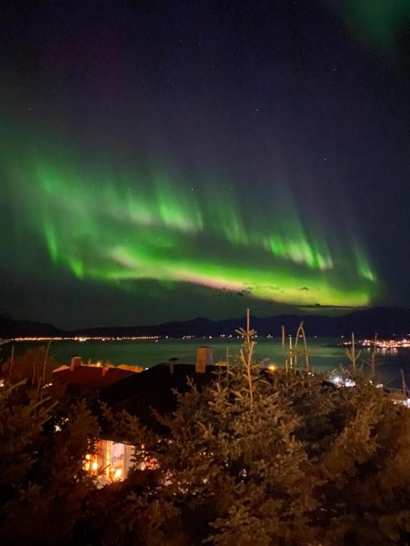 an aurora in the sky over a body of water at Panorama in Tromsø