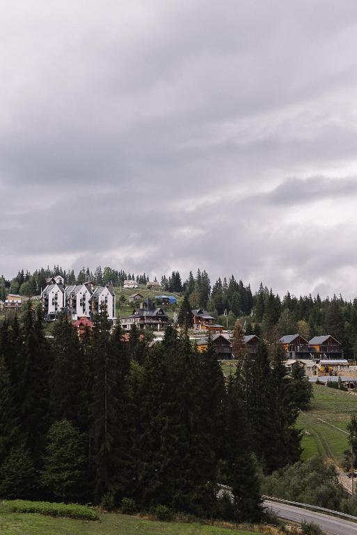 Gallery image of Toga in Yablunytsya