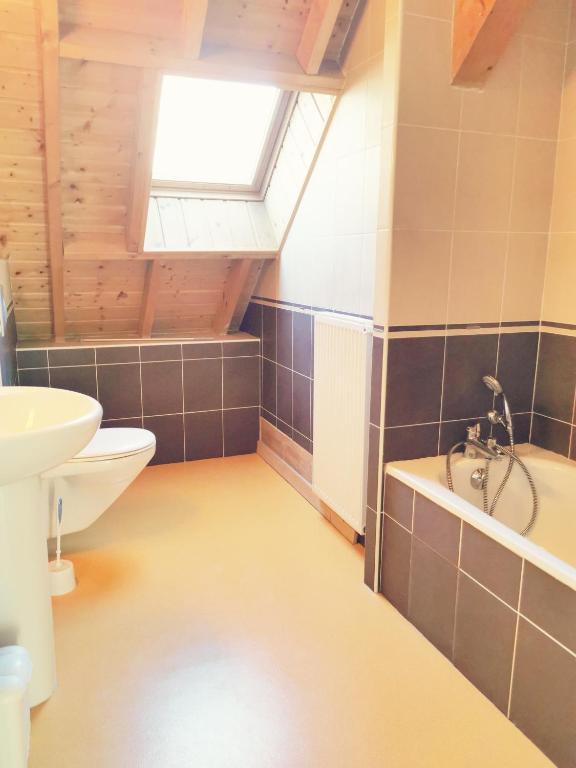 a bathroom with a toilet and a sink at Auberge du Freney in Le Freney-dʼOisans