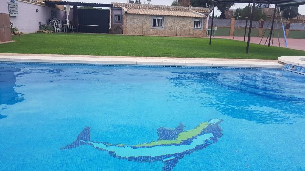una piscina con un tiburón pintado en ella en Casa Rústica vacacional FILIGRANA en Sanlúcar de Barrameda Zona Montijo en Chipiona