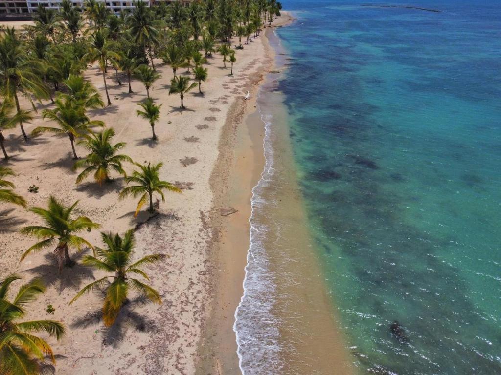 an aerial view of a beach with palm trees and the ocean at Beach front and golf paradise. Playa Nueva Romana in San Pedro de Macorís