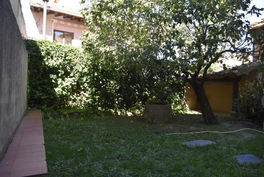 Zahrada ubytování La Fernandina