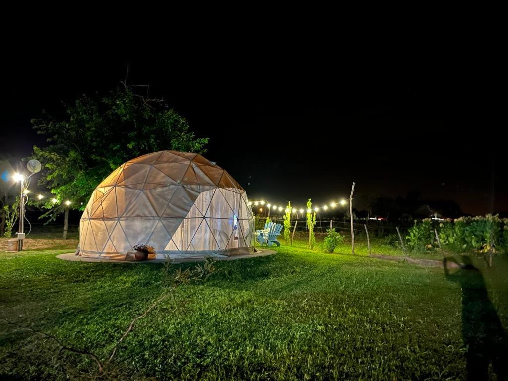 an igloo in the middle of a field at night at Glamping Salta in Coronel Moldes