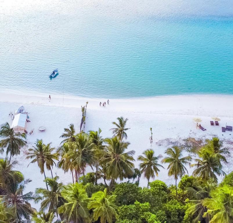 an aerial view of a beach with palm trees and the ocean at Black Pearl Himandhoo in Himandhoo 