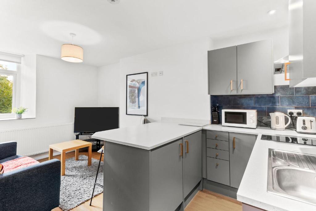 Modern Apartment in Brynmill 1&2 Bedroom apartments available, Swansea (updated prices 2024)