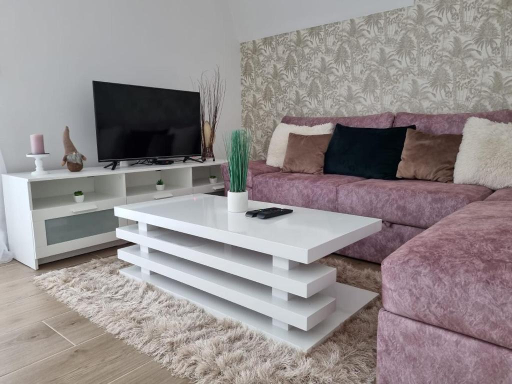 TV i/ili multimedijalni sistem u objektu Apartmani Ćirić Divčibare