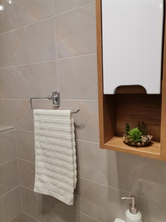 Kupatilo u objektu Apartmani Ćirić Divčibare