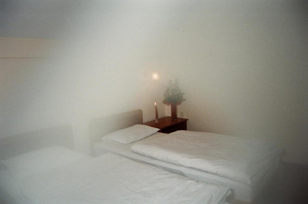 Planinarski Centar Petehovac - 1