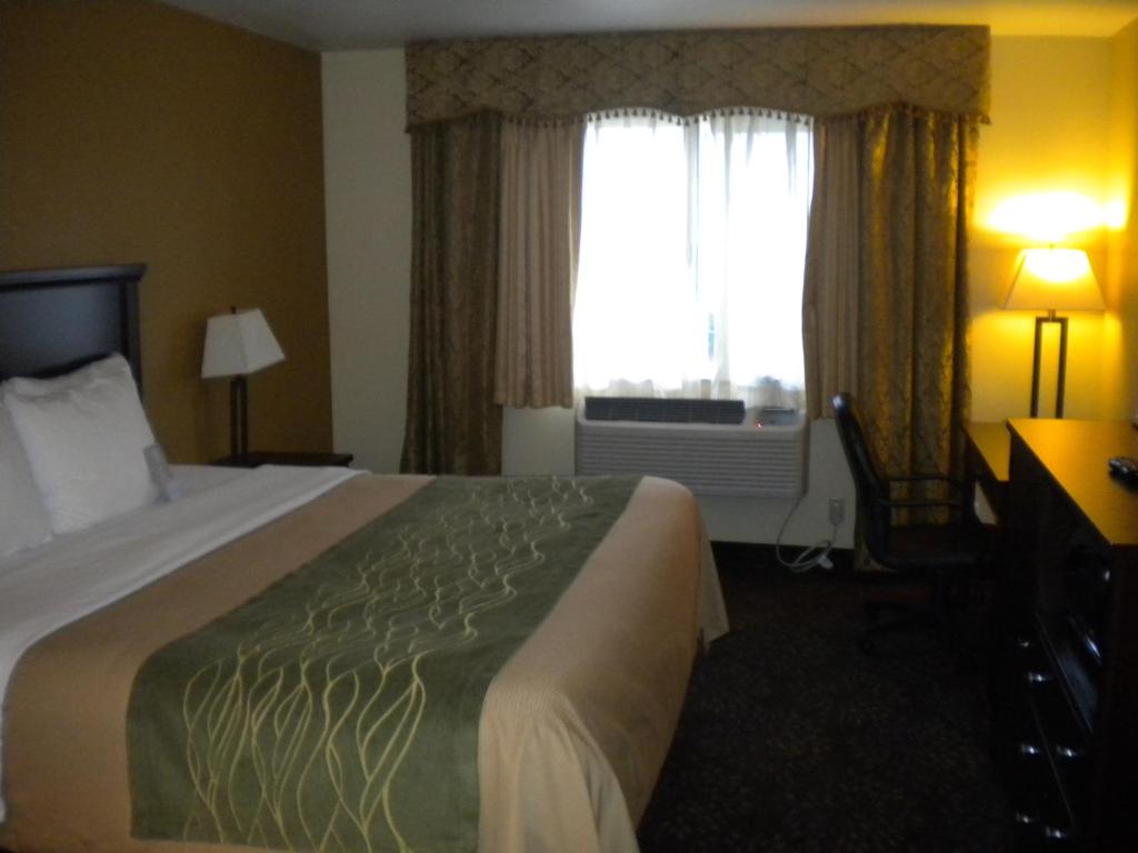 Comfort Inn Federal Way - Seattle - Error
