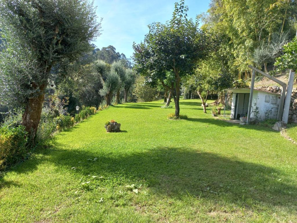 a large yard with trees and a house at Quinta do ribeiro in Arcos de Valdevez