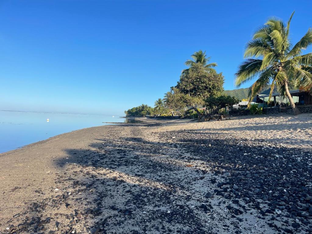 a sandy beach with palm trees and the ocean at PK 35 in Apomaoro