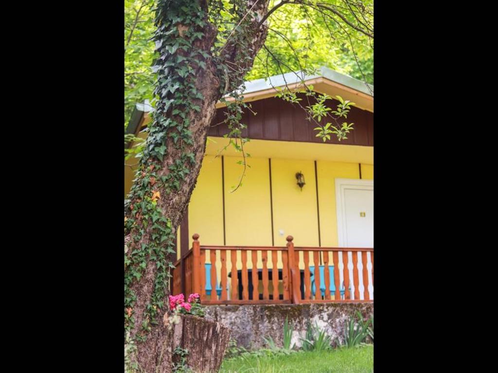 23 persons Bungalow in nice complex for familyにある庭