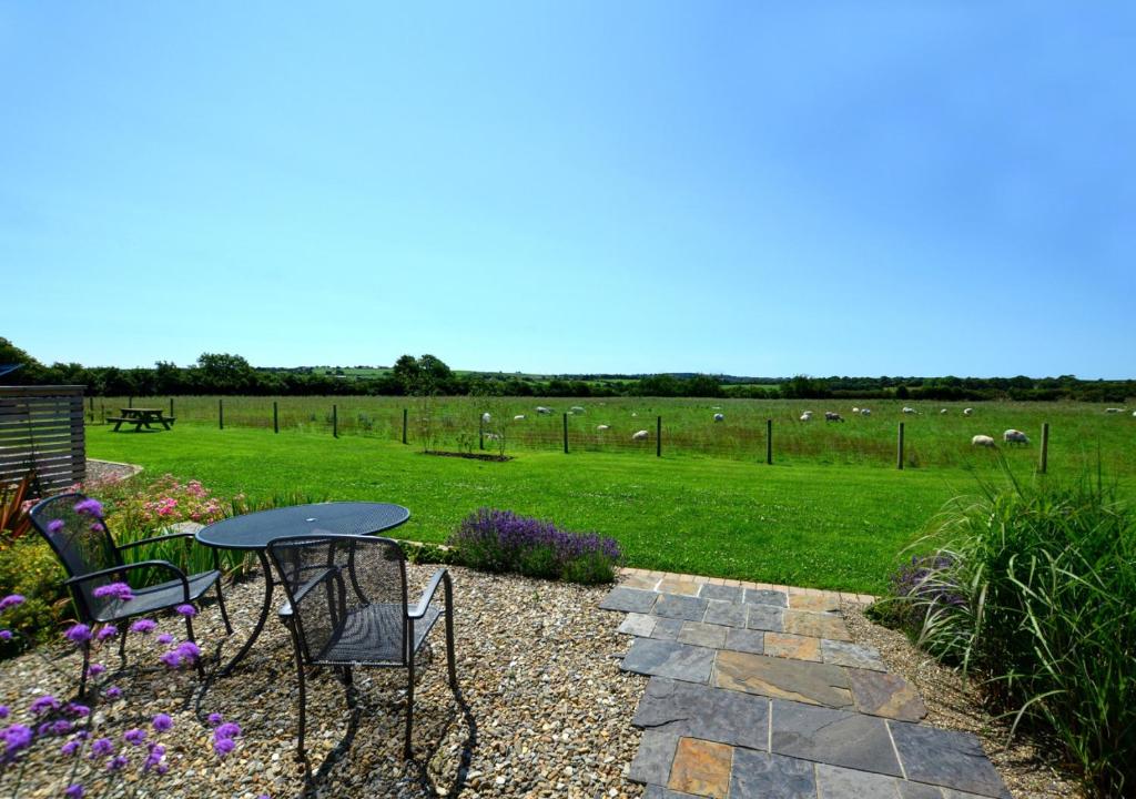 a patio with a table and chairs and a field of sheep at Holly Cottage in Haverfordwest