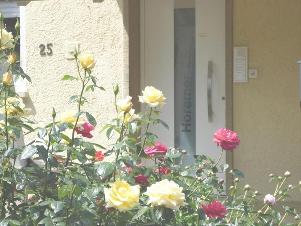 Gästezimmer Gross في توبينغن: شجيرة من الزهور أمام الباب