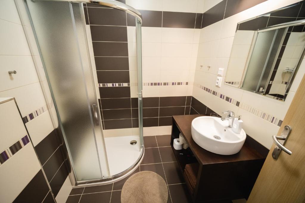 Apartmany 21 Třeboň - Standard Apartment