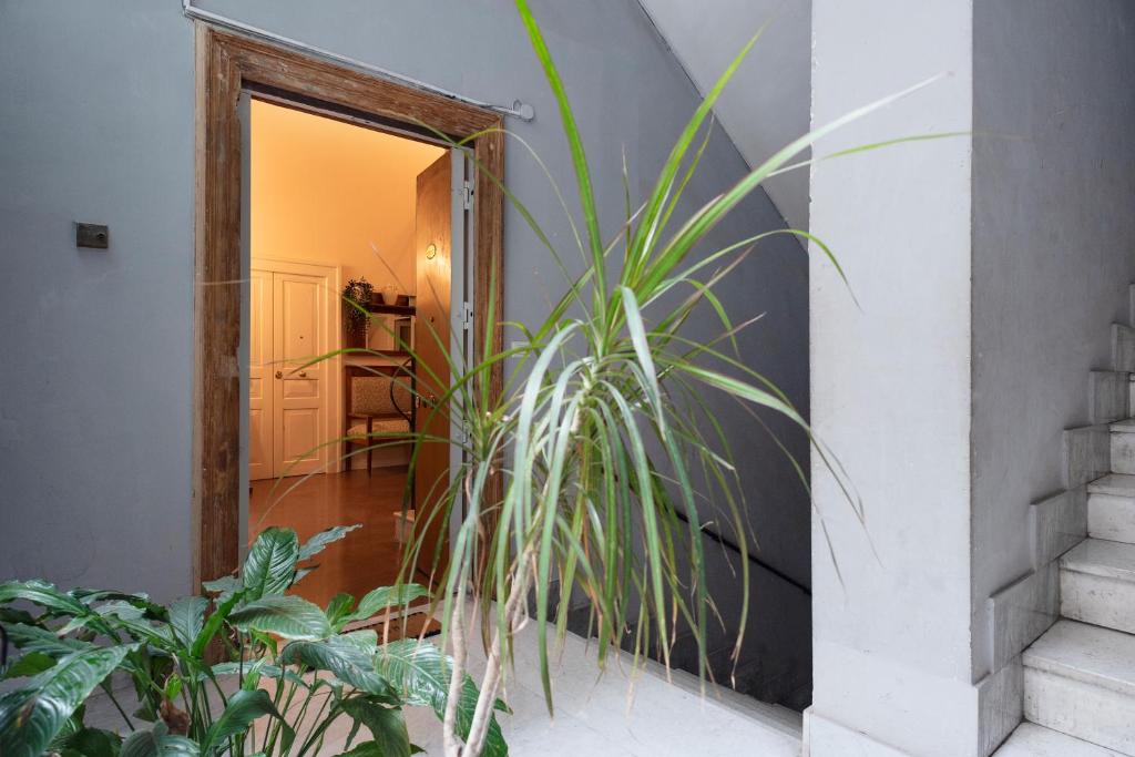 Casa Donna Aiuola - One-Bedroom Apartment