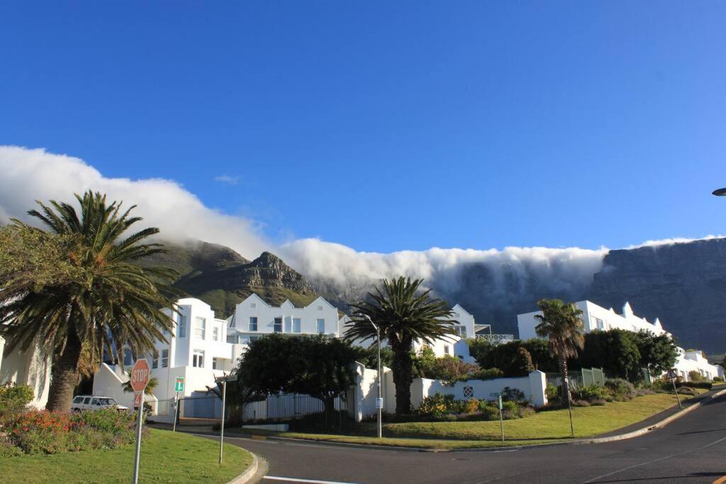 una calle con casas y palmeras frente a una montaña en The View Cape Town, en Ciudad del Cabo