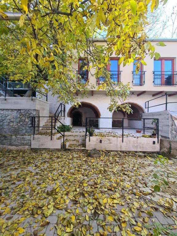 The building in which a panziókat is located