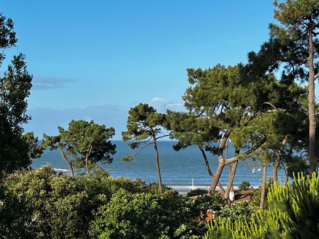 a view of the ocean from a beach with trees at Côté plage Nauzan Vue mer in Vaux-sur-Mer