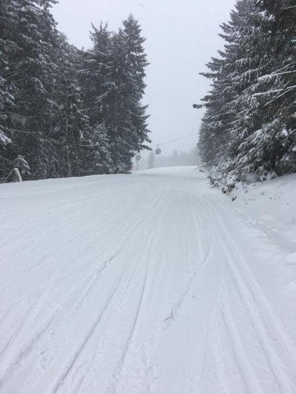 Alpen Studio Ellmau I v zime