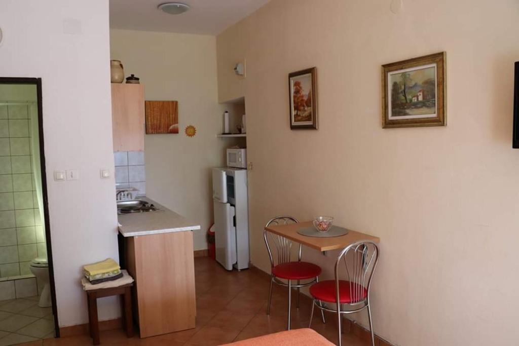 Kuchyňa alebo kuchynka v ubytovaní Apartmani Zeleni Raj