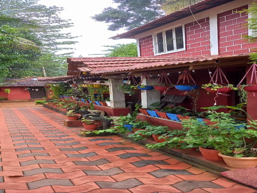a house with potted plants on a brick walkway at D signature Homestay By Lexstays in Kushālnagar