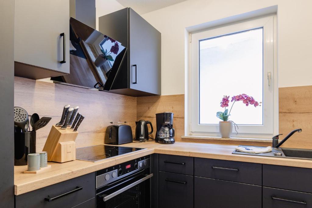 Alex & Rine - Pension Zum Alten Strom - Apartamento Superior