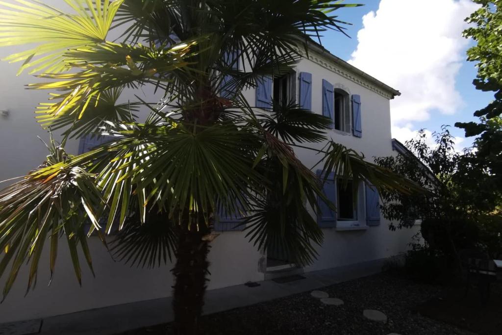 PACIFICO country house - Housity