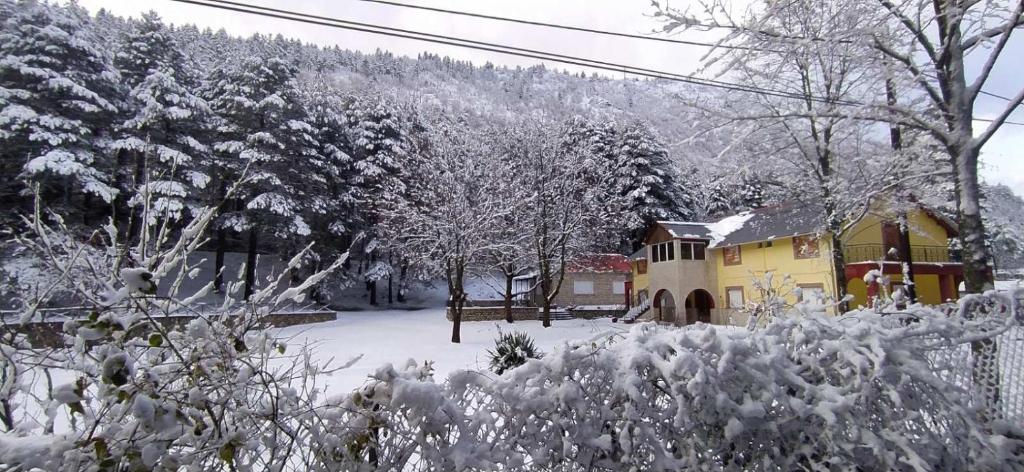 a snow covered yard with a house and trees at Amarantos in Loutra Amarantou
