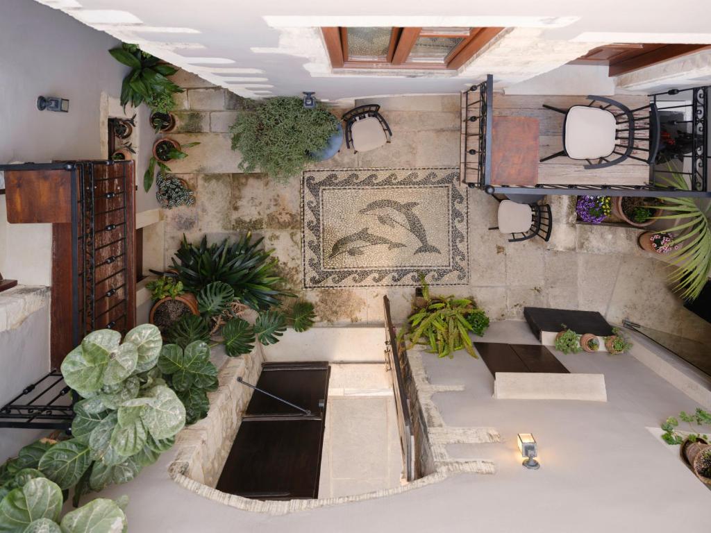 Casa Dei Delfini - Resim 10