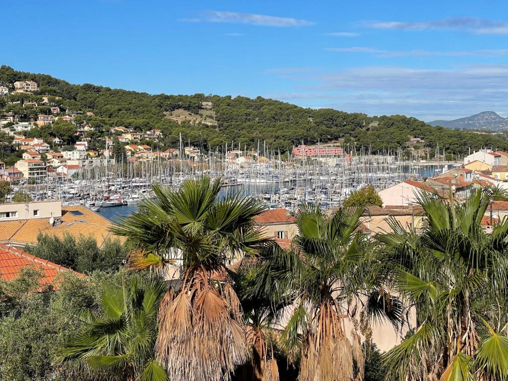 eine Stadt mit Palmen und einem Hafen mit Booten in der Unterkunft Grande terrasse avec vue mer, résidence récente, tout à pieds in Saint-Mandrier-sur-Mer