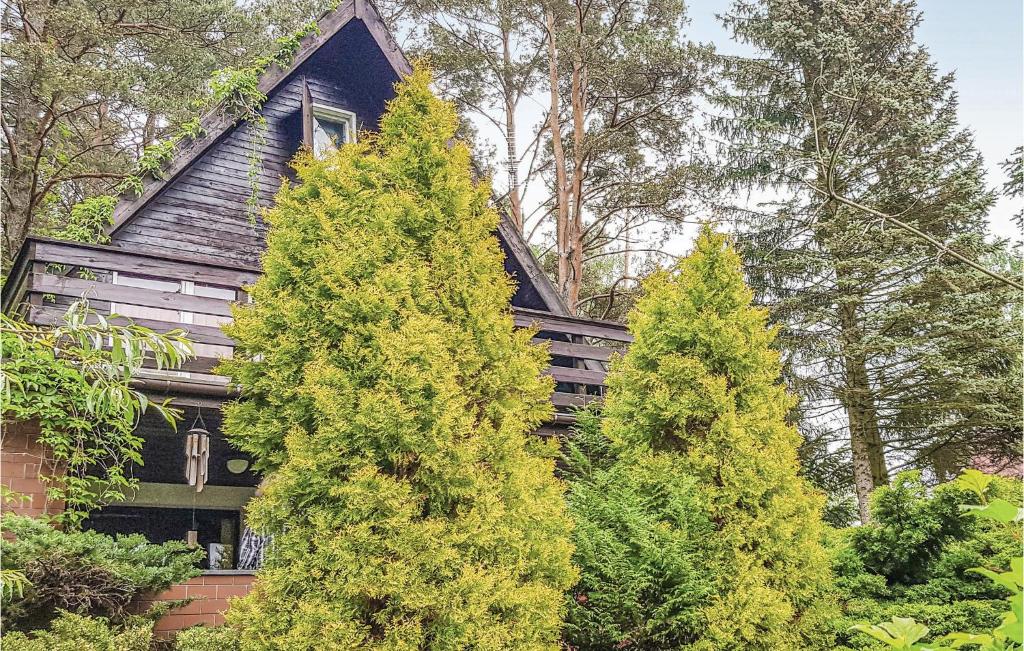 a house with two pine trees in front of it at Pet Friendly Home In Barczewo With Kitchenette in Barczewo