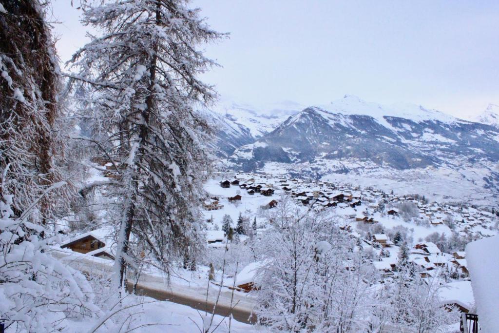 Pracondu 1 001 - OUTDOOR & FUN apartment 8 pers - Resim 38