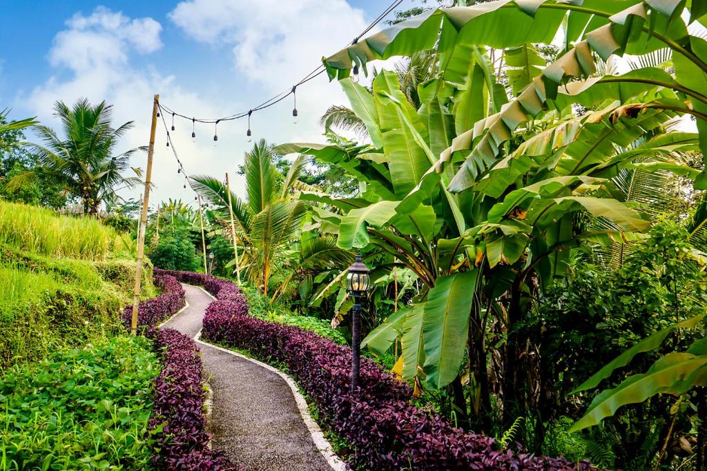 Bubble Hotel Bali Ubud — Adults Only