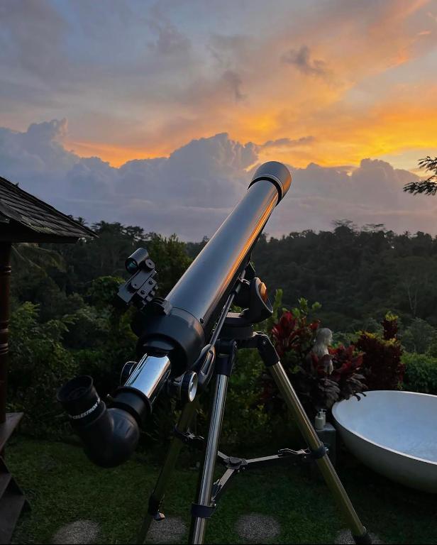 Bubble Hotel Bali Ubud — Adults Only
