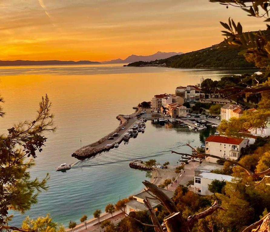 Naturlandskabet i nærheden af lejligheden