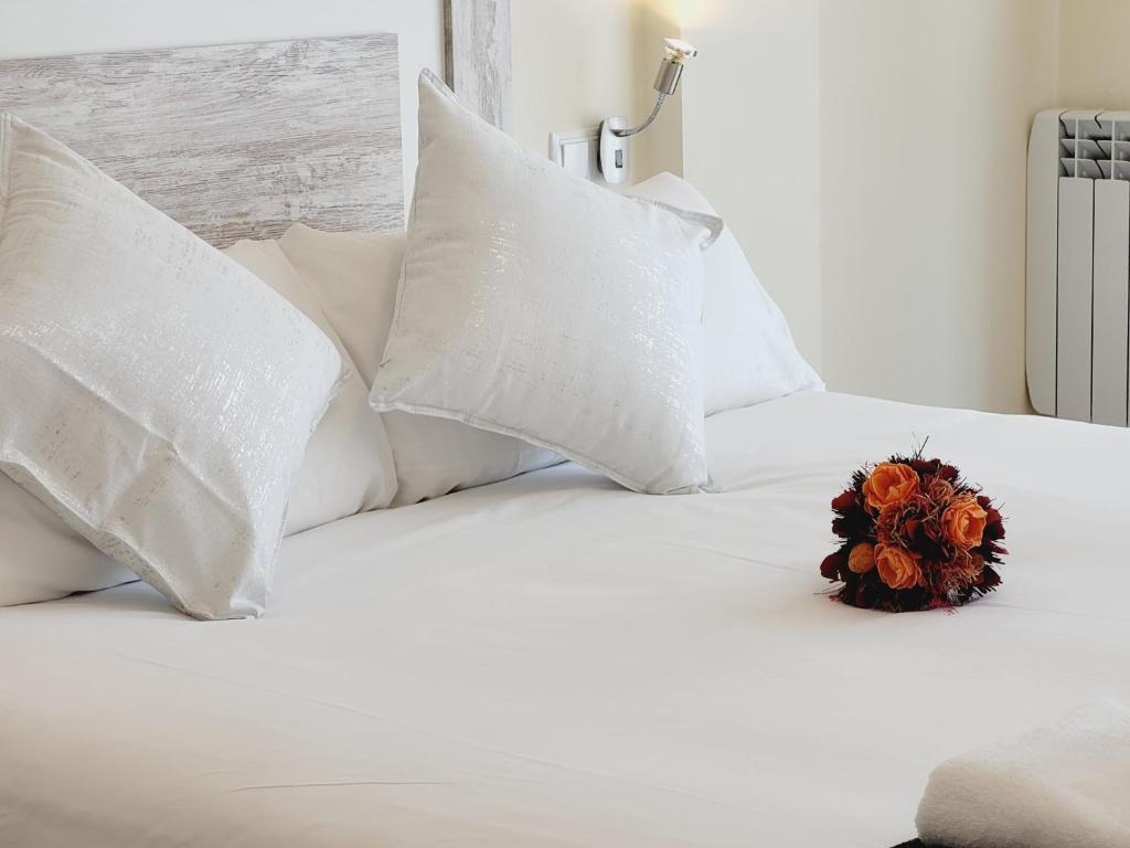 Guest House Ainsa Pirineos - 16