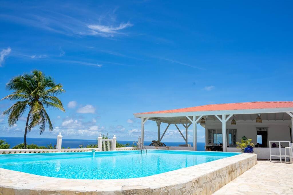 a swimming pool with a view of the ocean at Domaine des Tourterelles in Capesterre