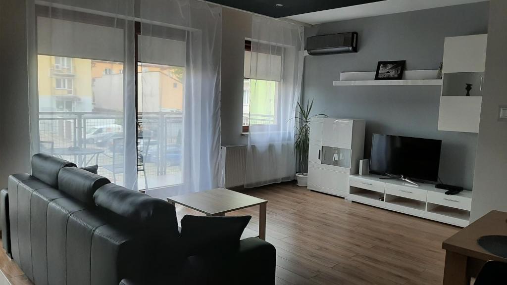 ein Wohnzimmer mit einem Sofa und einem TV in der Unterkunft Apartament LUXON 4 in Kielce