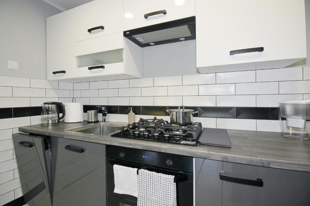 Kuchyň nebo kuchyňský kout v ubytování Apartament Dzikowiec