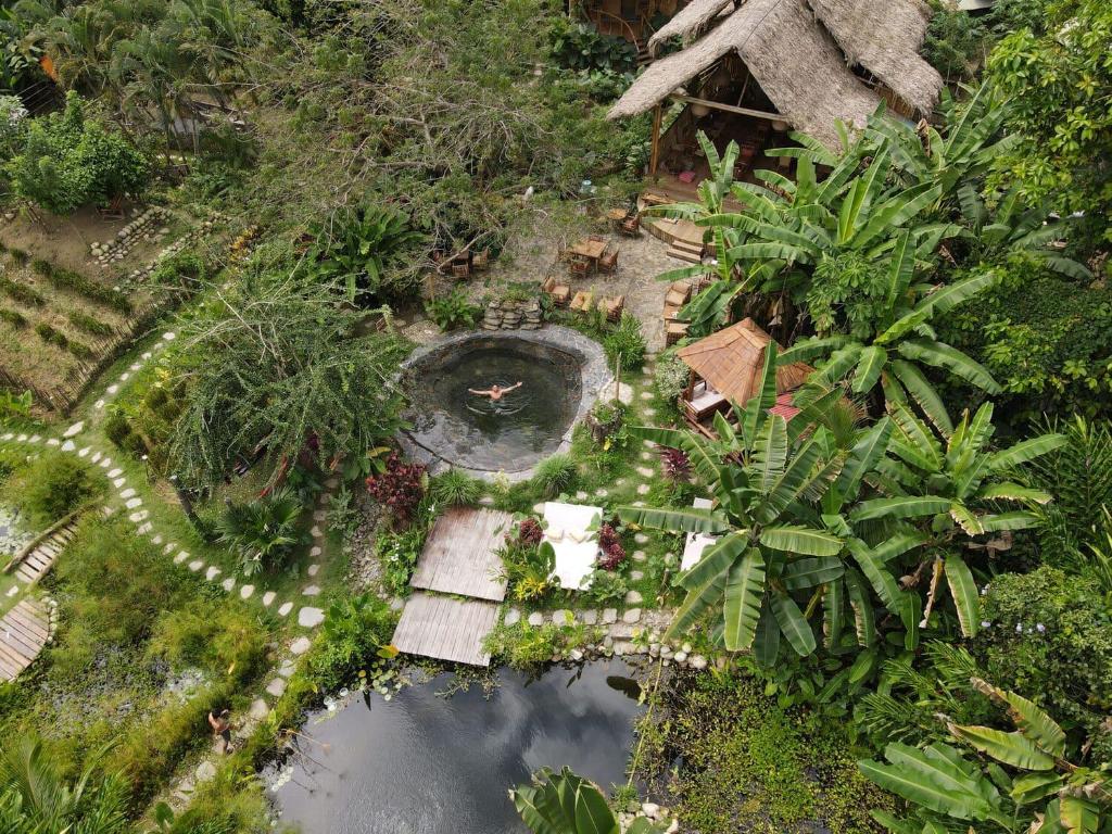 an overhead view of a garden with a pond at YAY Sustainable in Guachaca