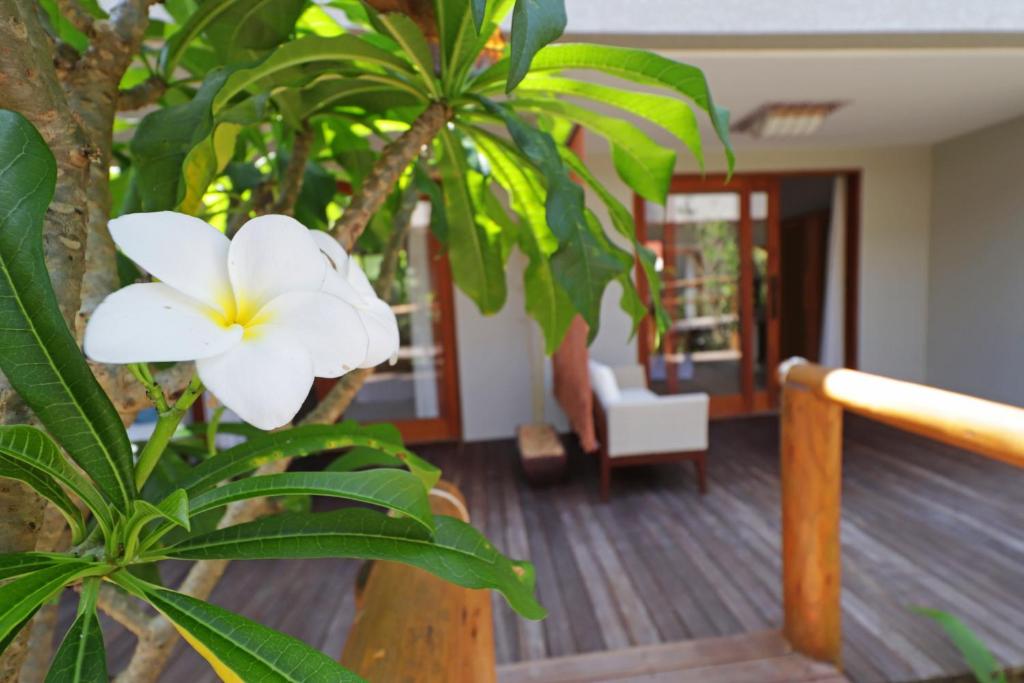 Zahrada ubytování Santa Aldeia Hotel