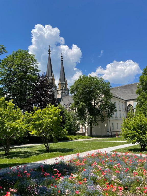 Zahrada ubytování Hotel die Traube
